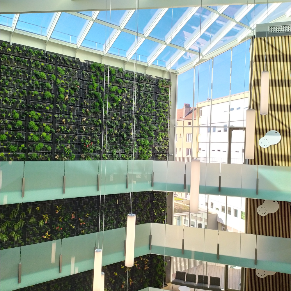 Mur végétalisé